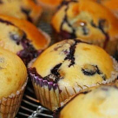Muffins Rezept mit Blaubeeren