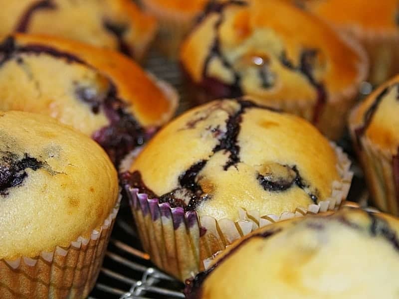 Muffins Rezept mit Blaubeeren – super einfach und unglaublich lecker