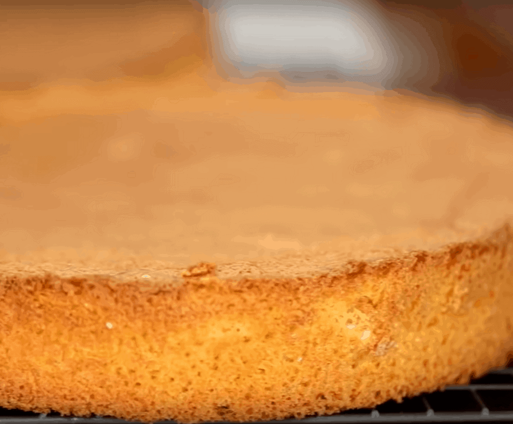 Biskuit, der beste Kuchen aus nur 4 Zutaten 🍝 - Die Rezepte