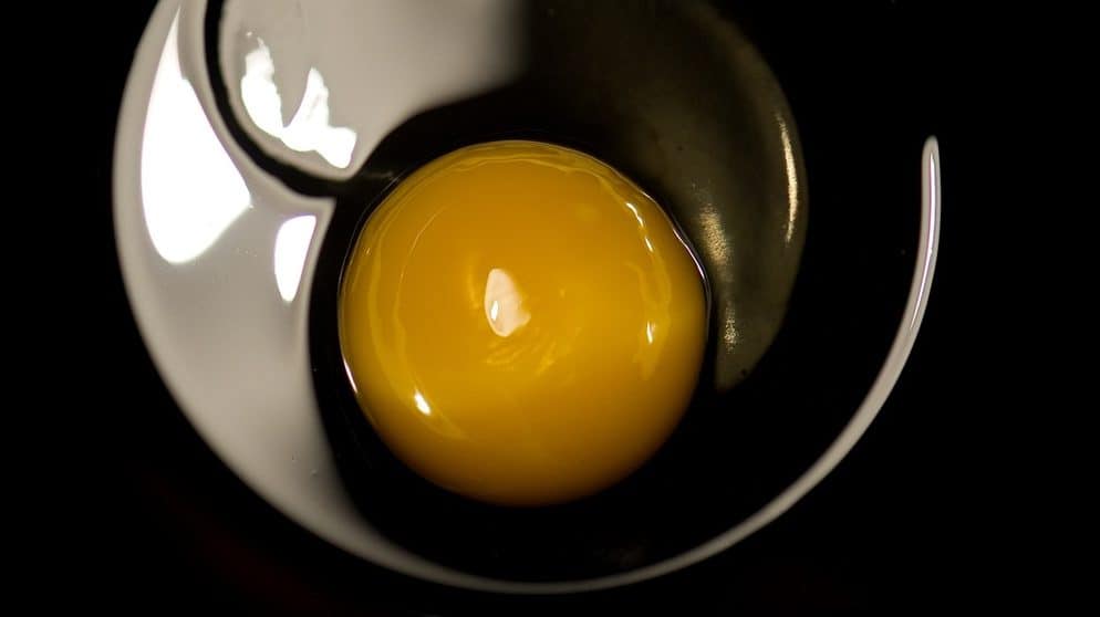 Eier frisch halten Aufschlagetest