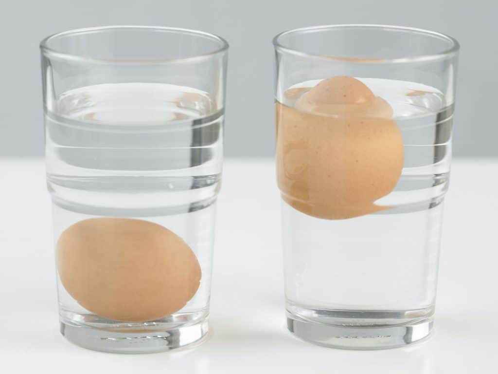 Eier frisch halten Wassertest